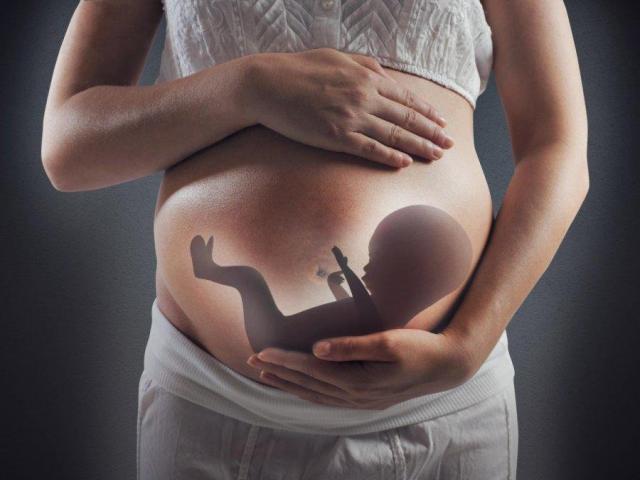 妊娠中の女性の腹の形状