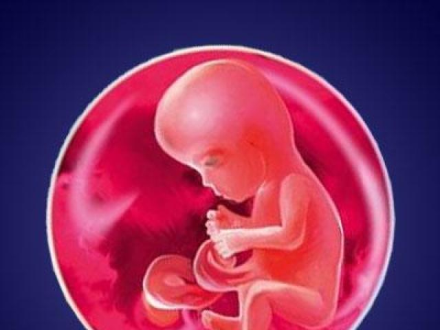Одиннадцатая неделя беременности - что происходит с малышом, фото плода, ощущения Беременные на 11 неделе